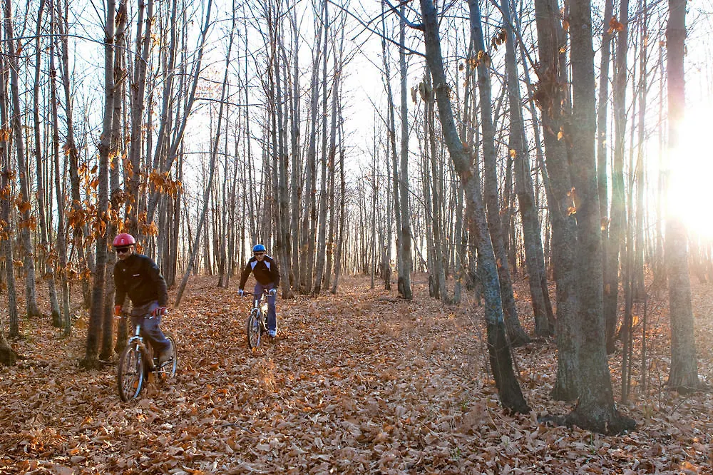 Affittacamere Bosco Ciancio Biancavilla Italia