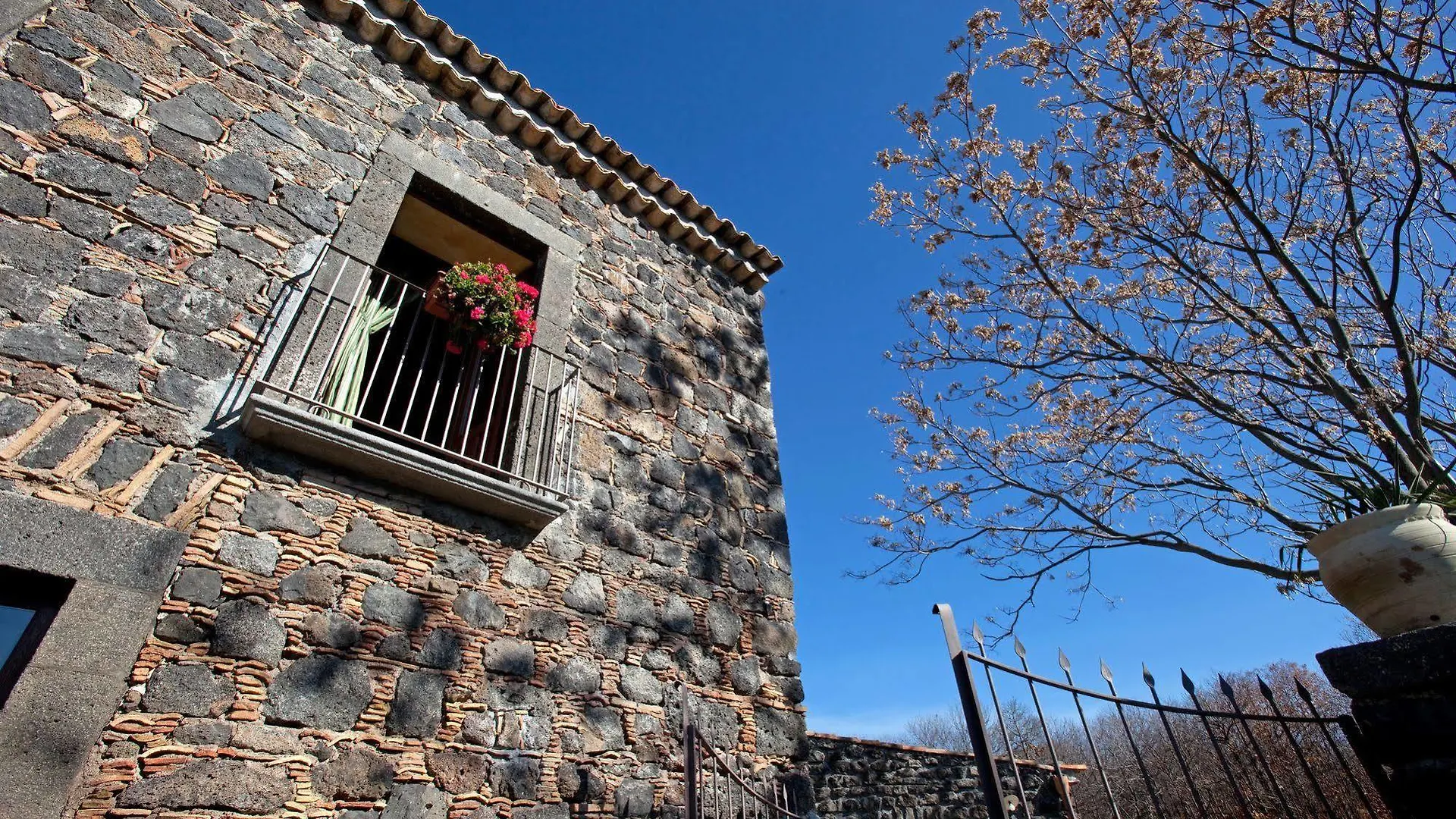 Bosco Ciancio Guest House Biancavilla